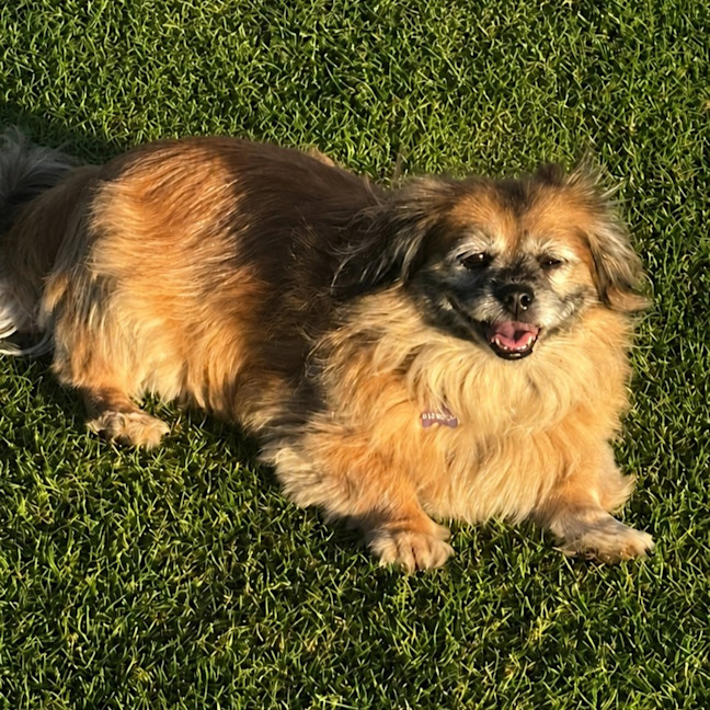 Photo of Sookie
