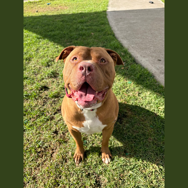 Photo of Kaiser 