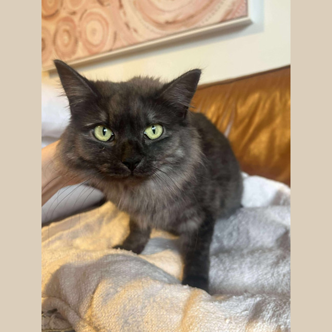 Photo of Amelia 🩷