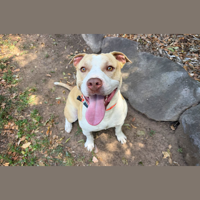 Photo of Benson