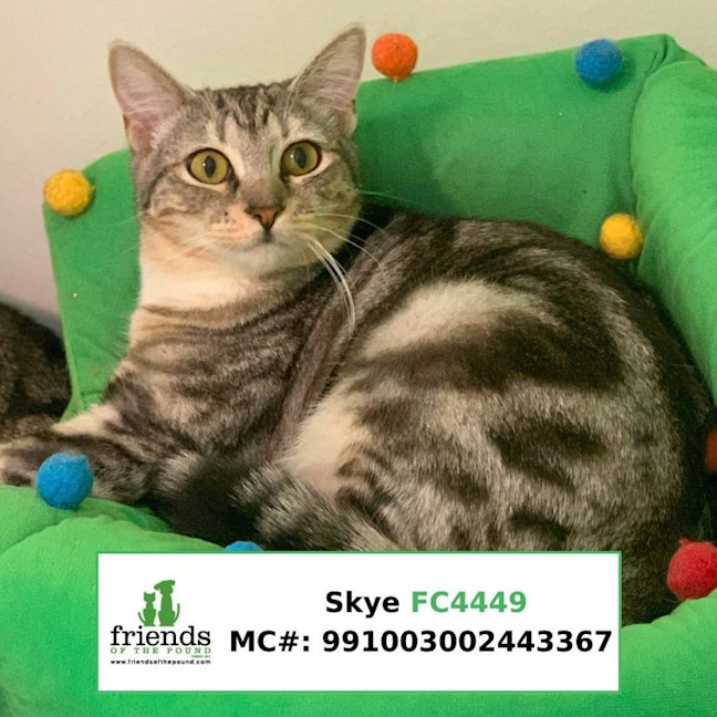 Photo of Skye And Brother Sammi