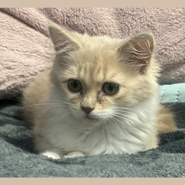 Photo of Rosemarie