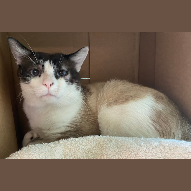 Photo of Fergus