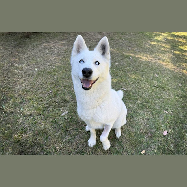 Photo of Heidi