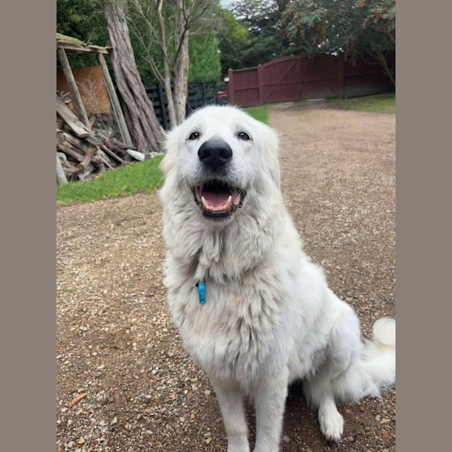 Photo of Nellie