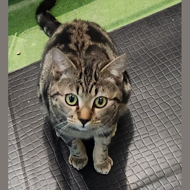 Photo of Zorg