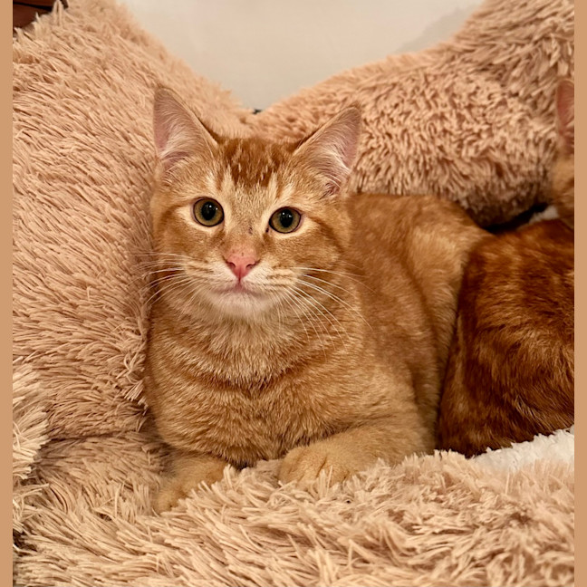 Photo of Bingo