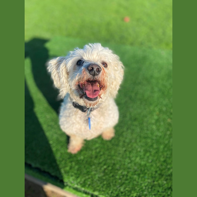 Photo of Bobby