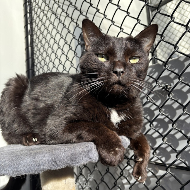 Photo of Little Buddy