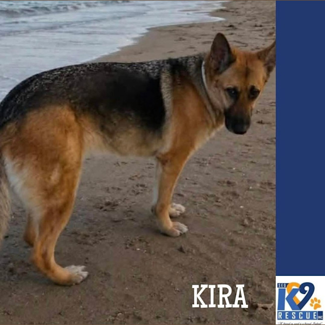 Photo of Kira