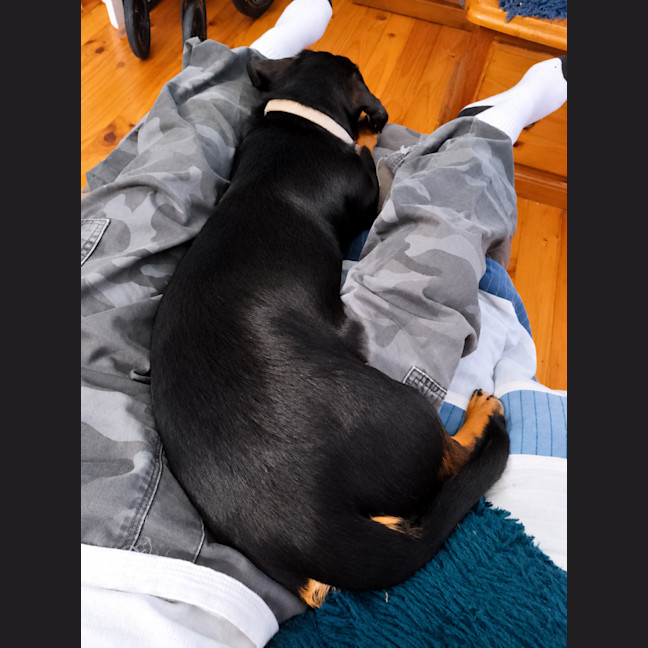 Photo of Echo