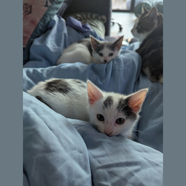 Photo of Mellie Baby