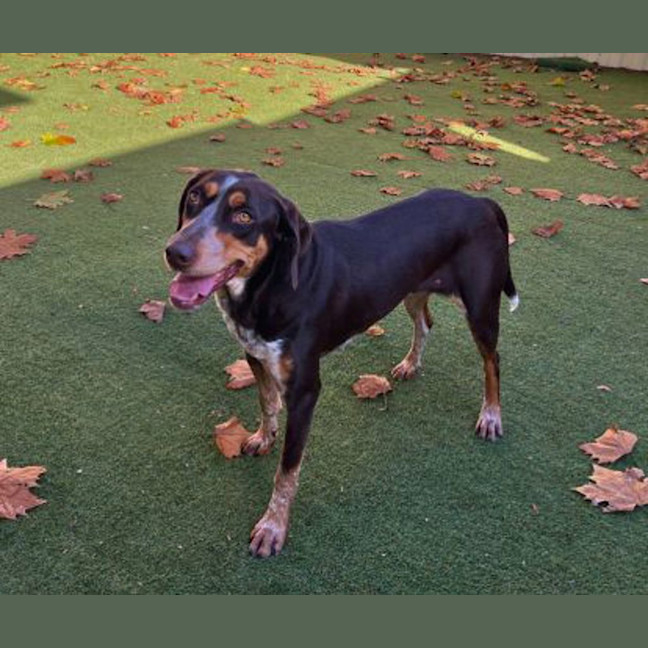 Photo of Tilly