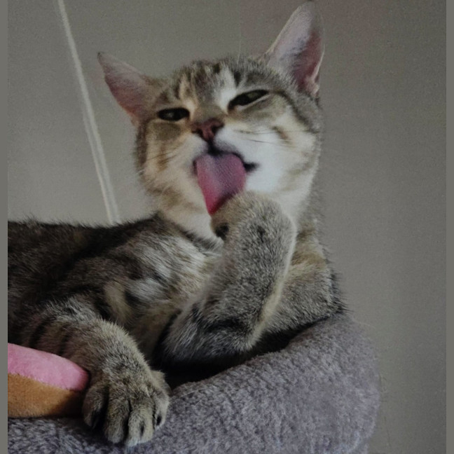 Photo of Nini