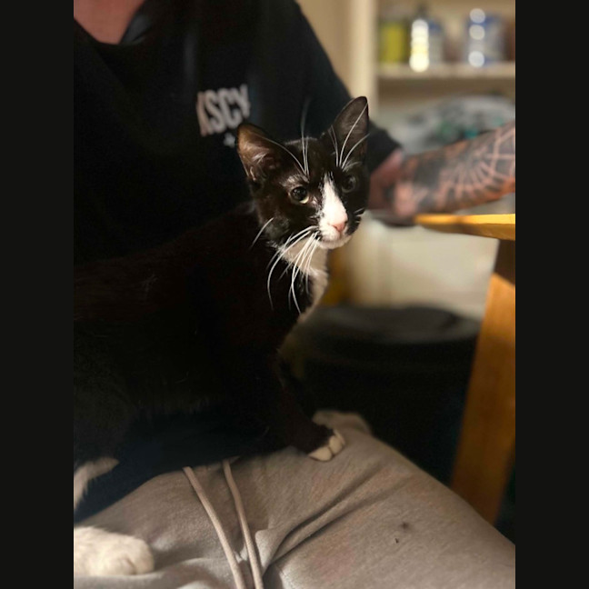 Photo of Bubbles 