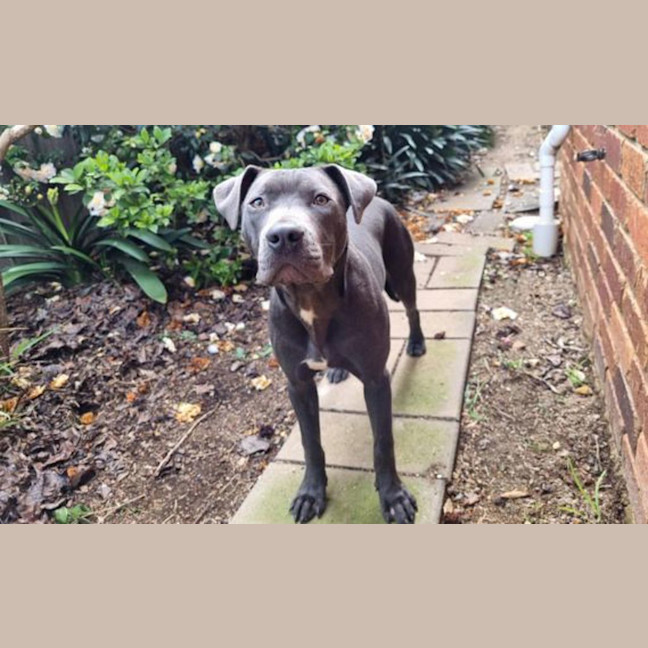 Photo of Zeus