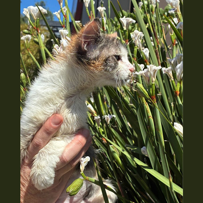 Photo of 🐾Aryna 🎾