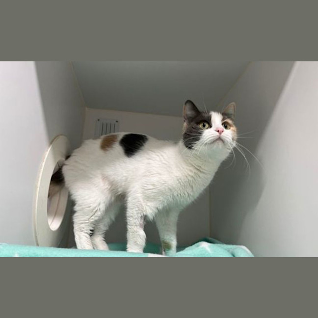 Photo of Molly