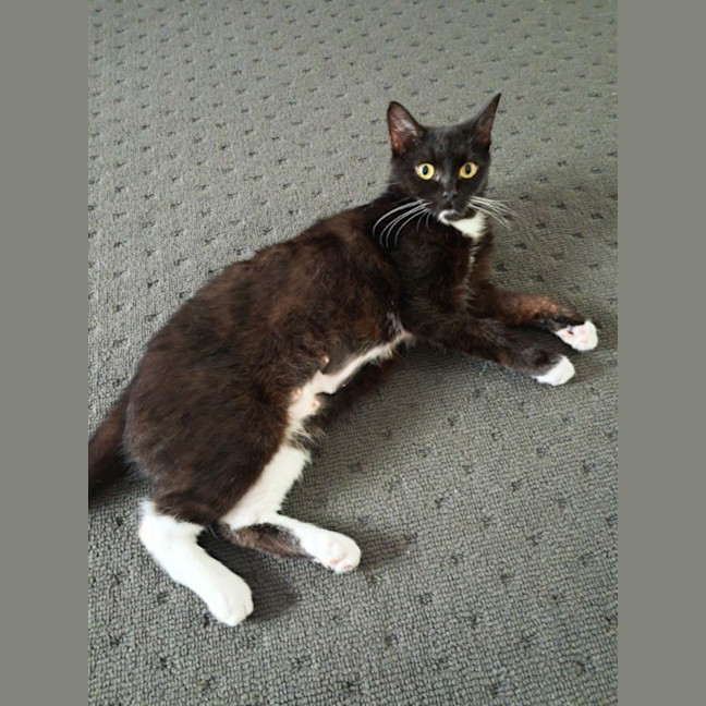 Photo of Annie