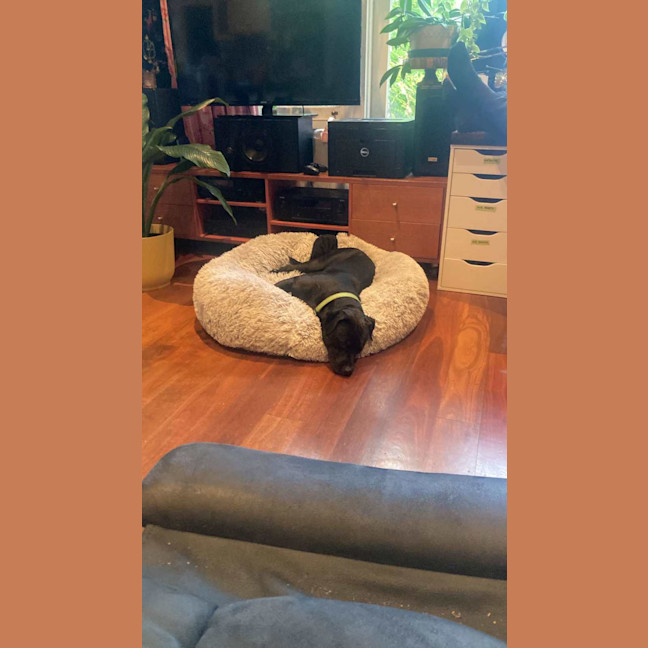 Photo of Sage