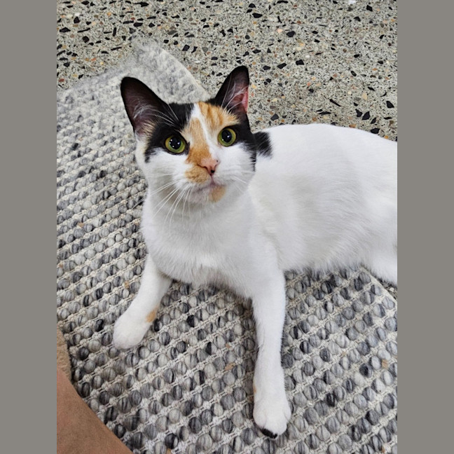 Photo of Mitzi
