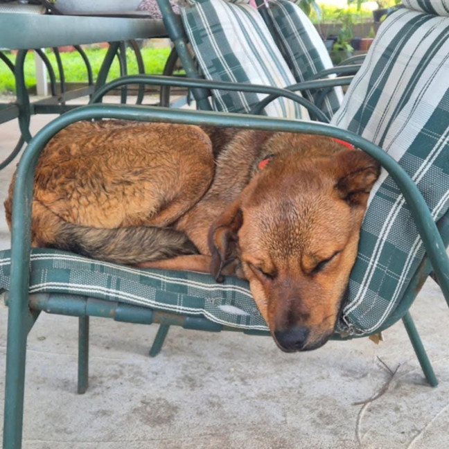 Photo of Ryda
