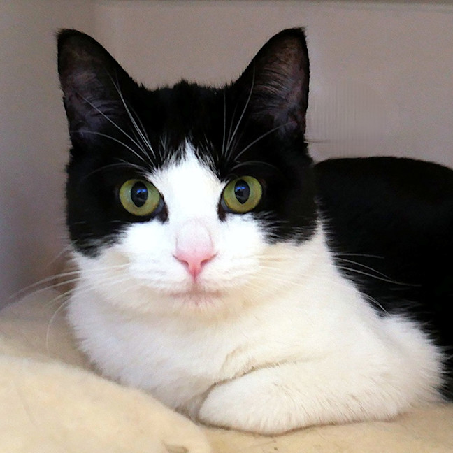 Photo of Shelly Sua013455