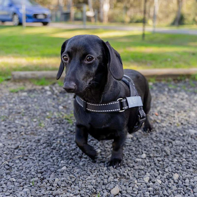 Photo of Lelu