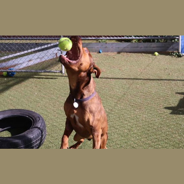 Photo of Stormy