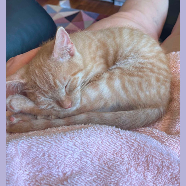 Photo of Cherub & Rudolf 