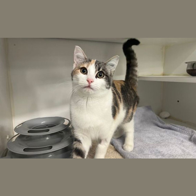 Photo of Marcie
