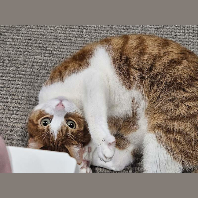 Photo of Harry