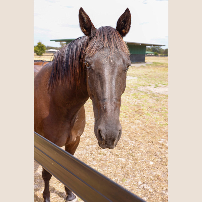 Photo of Zinc