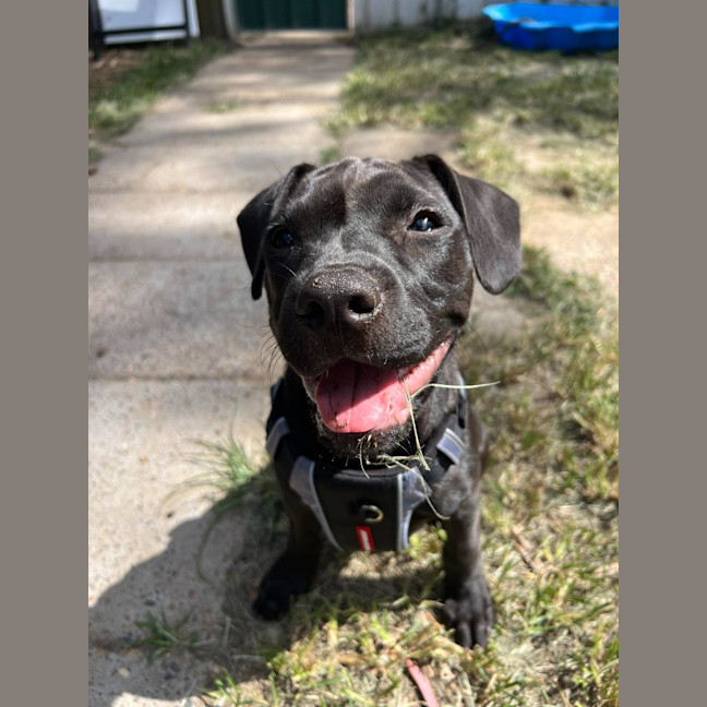 Photo of Bruce