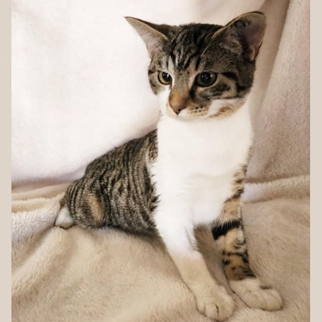 Photo of Jovi 