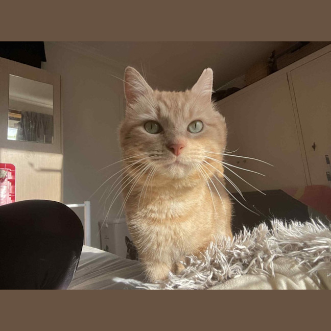 Photo of Thomas