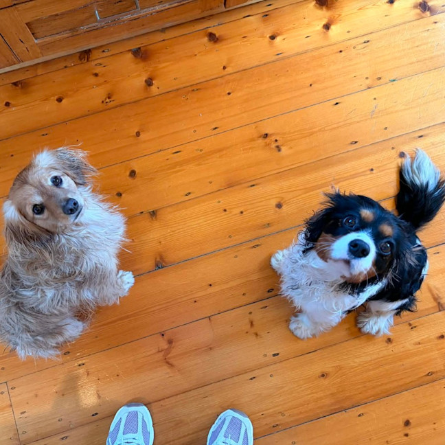 Photo of Lucky