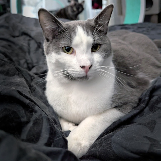 Photo of Buster