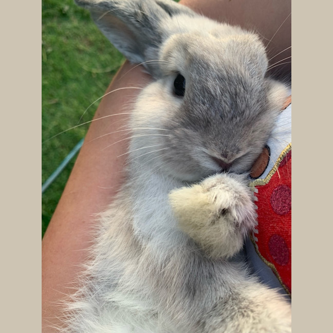 Photo of Bunnifer Aniston