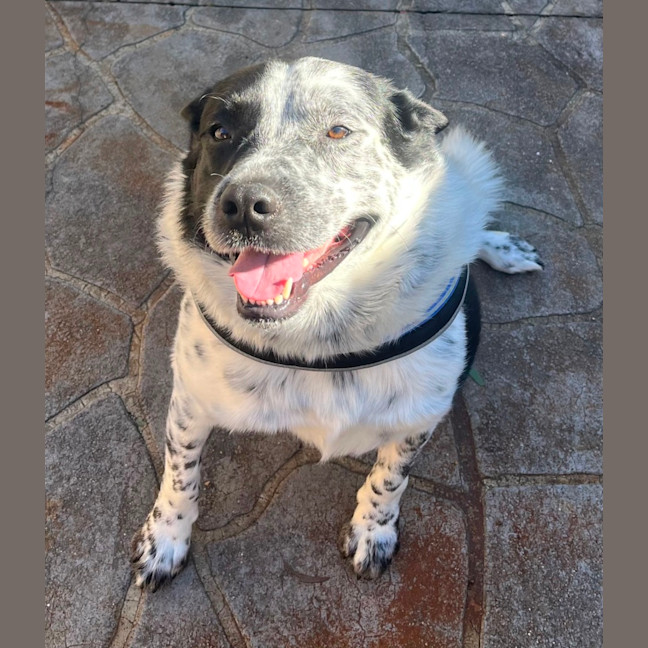 Photo of Tex