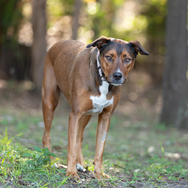 Photo of Carley