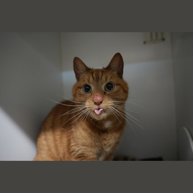 Photo of Dottie