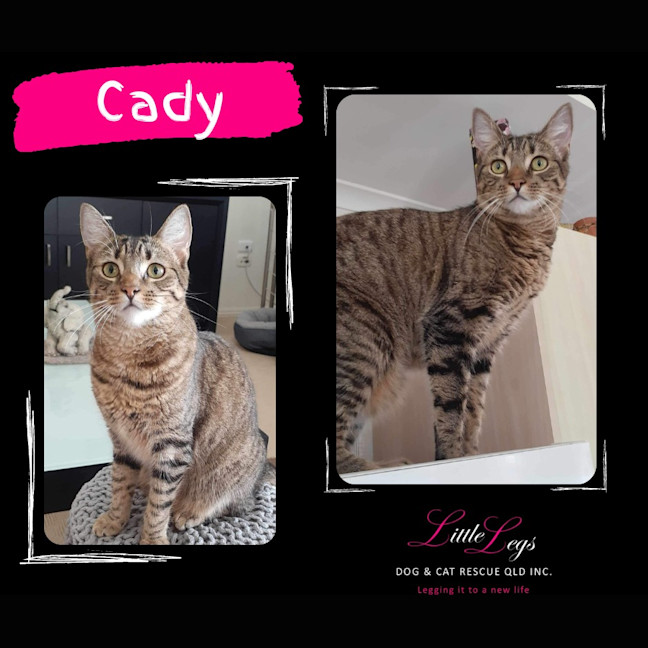 Photo of Cady