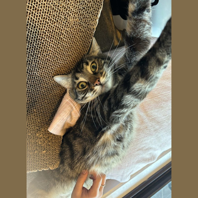 Photo of Gus
