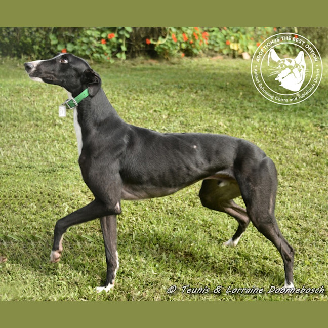 Photo of Jake (Forner's Reign)
