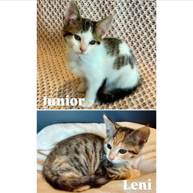 Photo of 11567   Junior