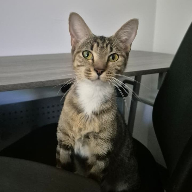 Photo of Sally