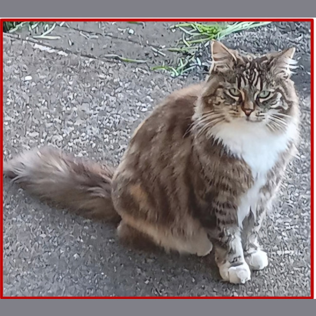 Photo of Kashka & Pepe