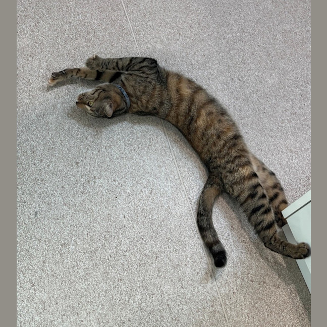 Photo of Louise (9123)