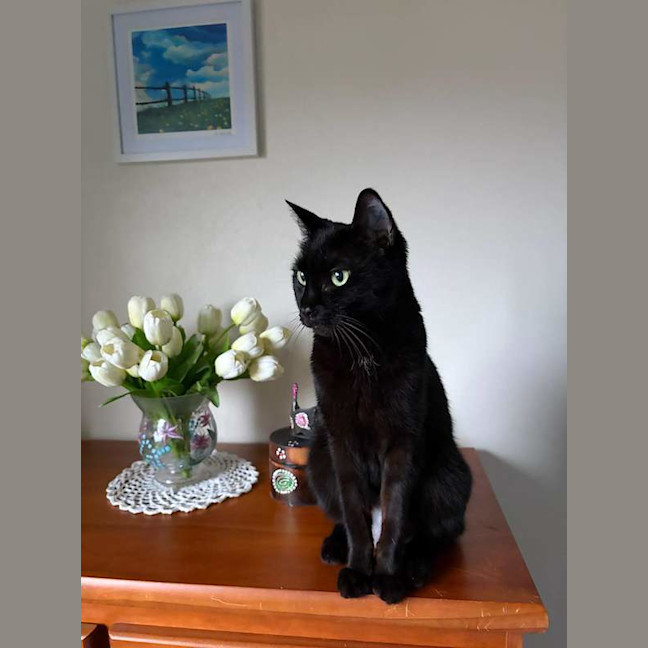 Photo of Penny